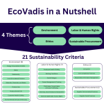 EcoVadis Themes and Sustainability Criteria
